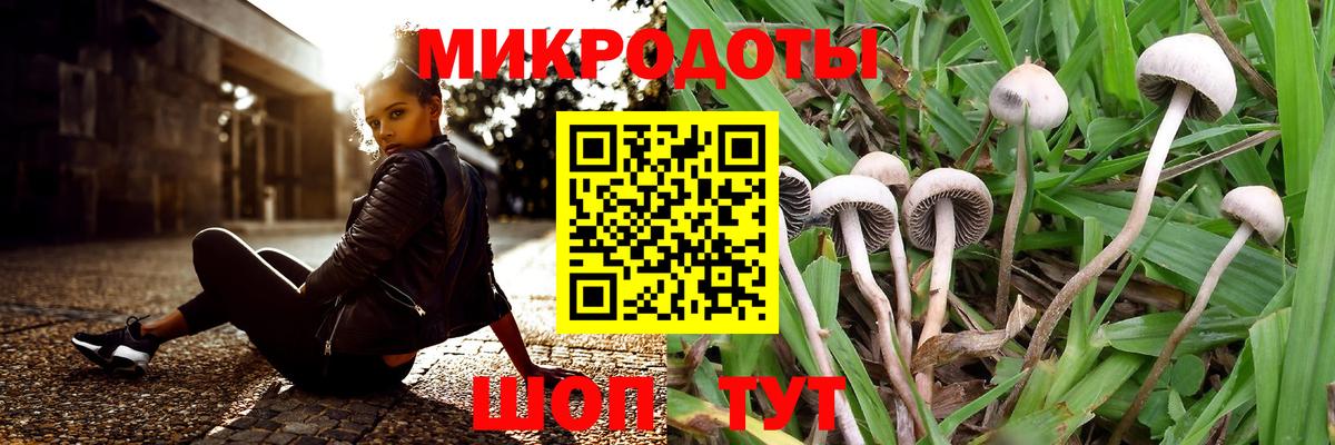 Галлюциногенные грибы прущие грибы  Вход с VPN  Псилоцибиновые грибы ЛСД  Дзержинск 